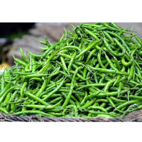 Green Chilly