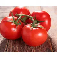Tomato
