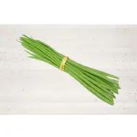 Drumstick