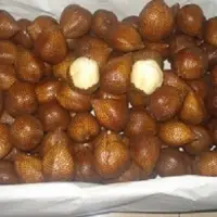 Salacca ( salak )