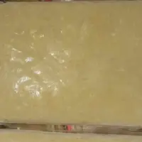 Frozen Durian Seedless