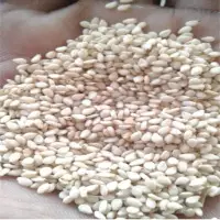 Sesame Seeds