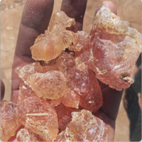Gum Arabic