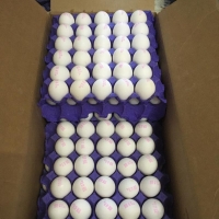 Fresh Table Eggs