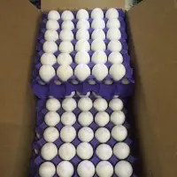 Fresh Table Eggs
