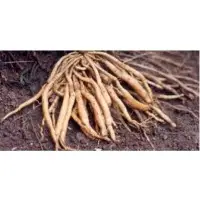 Organic Ashwagandha