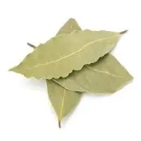 Bay Leaves