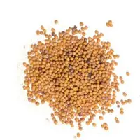 Organic Black Mustard Seeds