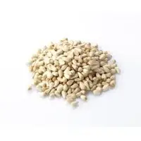 Organic Safflower Seeds