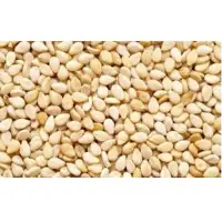Organic Sesame Seeds