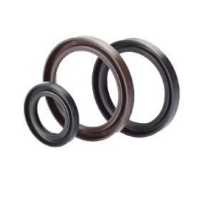 Rotary Shaft Seals