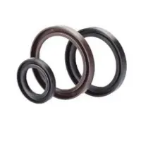 Rotary Shaft Seals
