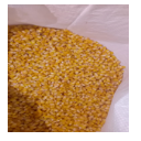 Sweet Corn