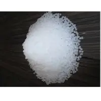 Nylon 6 Chips