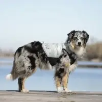 Canicool Dry Cooling Vest For Dogs