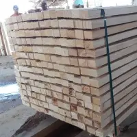 Balsa Wood