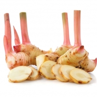 Fresh Galanga (or Galangal)