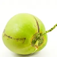 Fresh Coconut / Green Coconuts