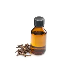 Clove Bud Essential Oil