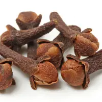 Clove Bud Oleoresin
