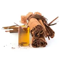 Essential Oil