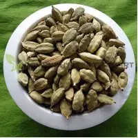 Cardamom