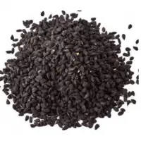 Nigella Sativa Seeds