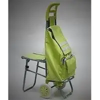 Shopping trolly-bag