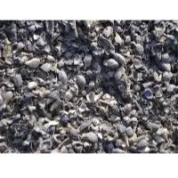 Palm kernel shell