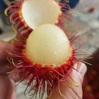 Rambutan