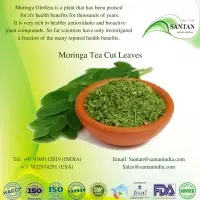 Moringa Tea Cut Leaves