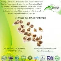 Moringa Conventional Seeds