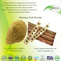 Moringa Fruit Powder