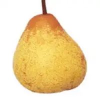 Rocha Pear