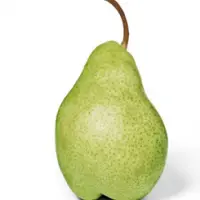 Bartlett Pear