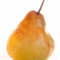 Decana Pear