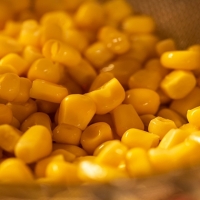 Yellow Corn