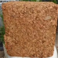 Organic Coconut Chip