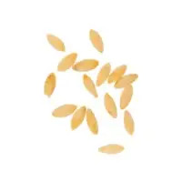 Cucumber Seeds