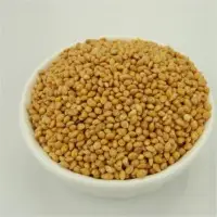 Broomcorn