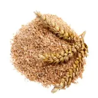 Wheat Grain