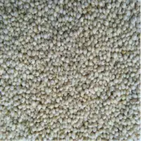 Sorghum(cholam) Millet