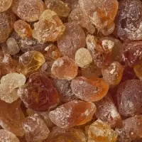 Natural Glue Acacia Nailotica Tree Glue