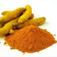 Termeric Curcuma Domestica Valeton