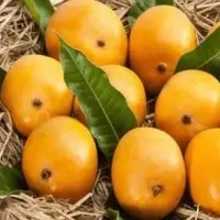 Alphonso Mango