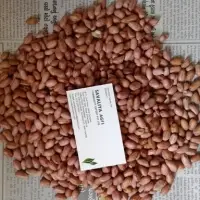 Peanuts
