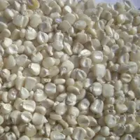 White Maize