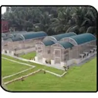 Greenhouse