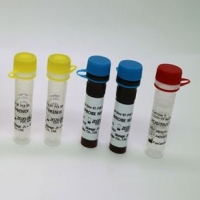 COVID-19 Real Time RT-PCR Kit