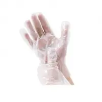 CPE(Cast Polyethylene) Disposable Glove